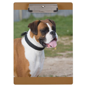 Cute Boxer / Dog Photo Clipboard