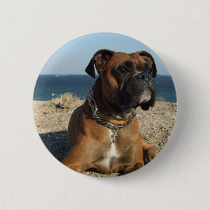 Cute Boxer Dog Round Button
