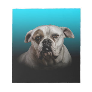 Cute Boxer Dog w Blue Black Gradient  background Notepad