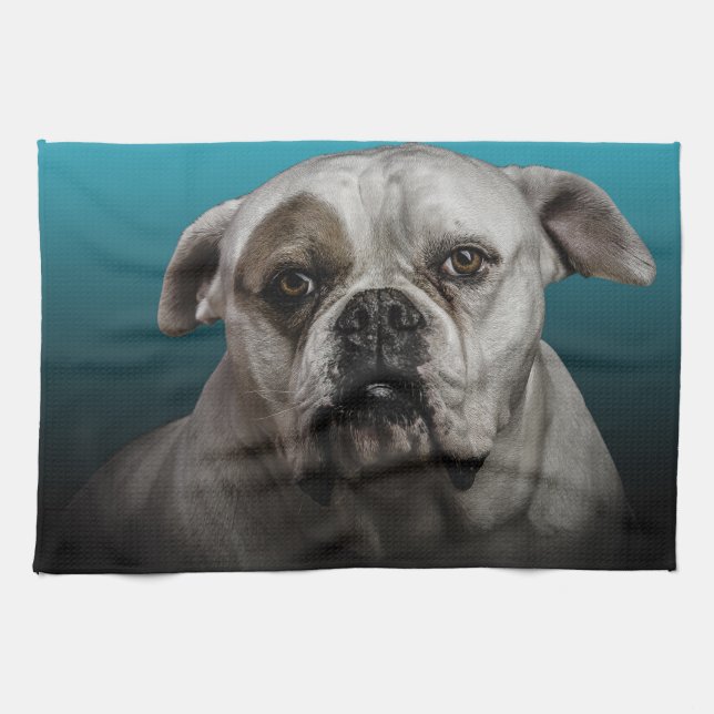 Cute Boxer Dog w Blue Black Gradient  background Tea Towel (Horizontal)