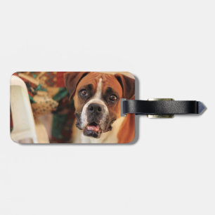 Cute Boxer Luggage Tag