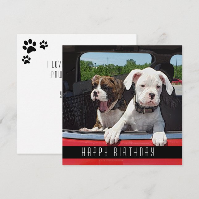 Cute Boxer Puppy Happy Birthday Dogs Announcement (Front/Back)