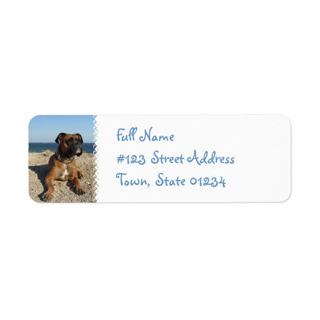 Cute Boxer Return Address Label (Front)