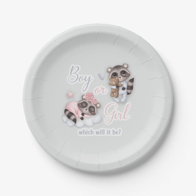 Cute Boy Girl Baby Raccoons Gender Reveal Paper Plate (Front)