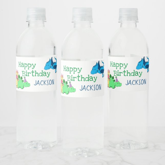 Cute Boys Dinosaur Kids Party Water Bottle Label (Bottles)