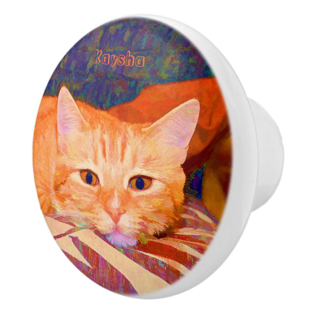 Cute Bright Orange Tabby Cat Ceramic Knob (Right)