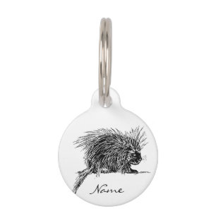 Cute Bristly Hedgehog Thunder_Cove Pet Tag