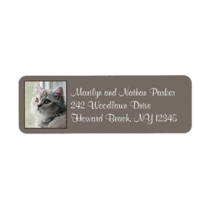 Cute British Long Hair Kitten Return Address Label
