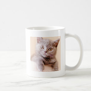 Cute British Shorthair Cat Coffee Mug