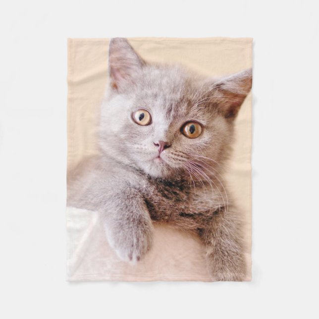 Cute British Shorthair Cat Fleece Blanket (Front)