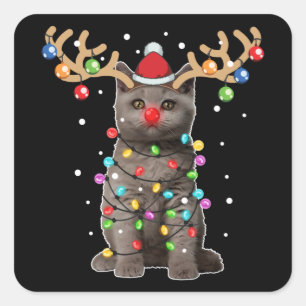 Cute British Shorthair Cat Funny Christmas Holiday Square Sticker