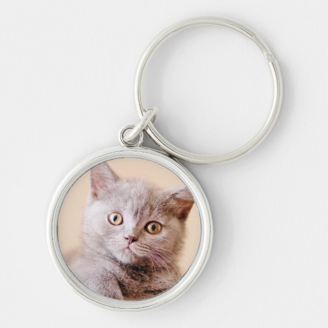 Cute British Shorthair Cat Key Ring (Front)