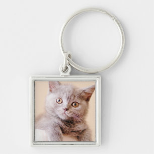 Cute British Shorthair Cat Key Ring