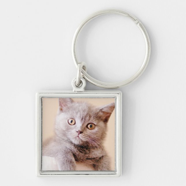 Cute British Shorthair Cat Key Ring (Front)