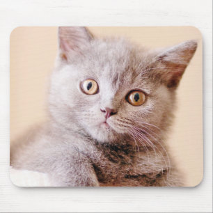 Cute British Shorthair Cat Mouse Mat