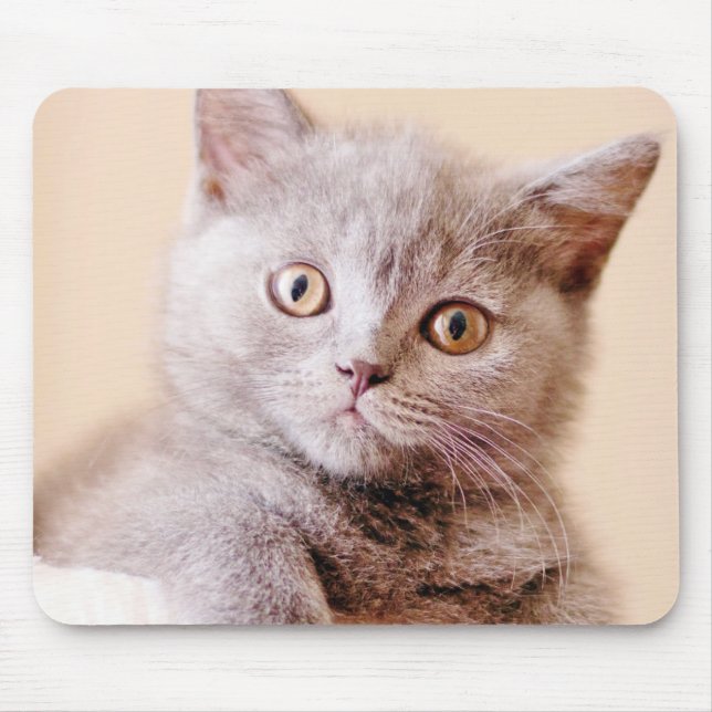 Cute British Shorthair Cat Mouse Mat (Front)