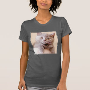 Cute British Shorthair Cat T-Shirt
