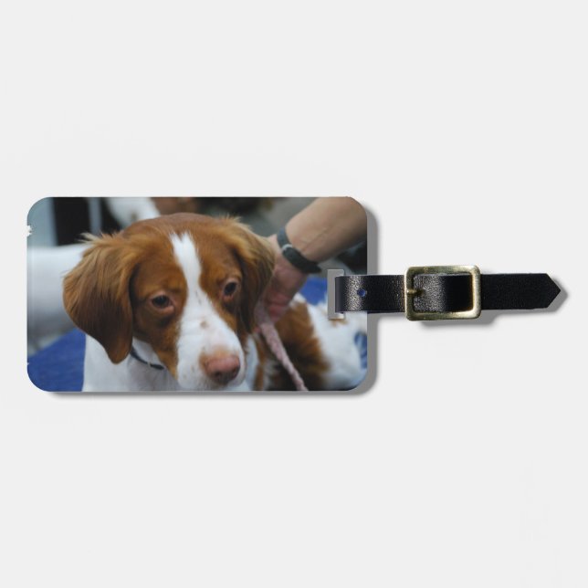 Cute Brittany Spaniel Luggage Tag (Front Horizontal)