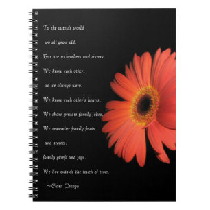 Cute Brother / Sister Siblings Birthday Notebook
