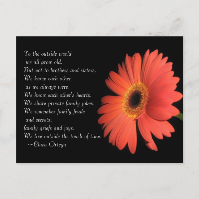 Cute Brother / Sister Siblings Birthday Postcard (Front)