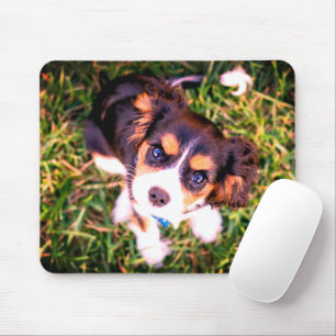 Cute Brown And White Angry Puppy Mouse Mat