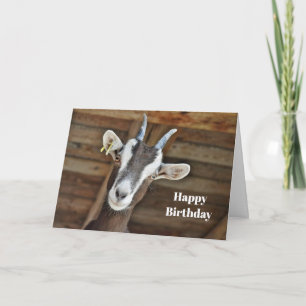 Cute Brown and White Goat Photo Birthday Card
