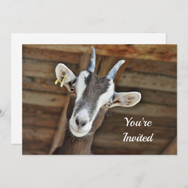 Cute Brown and White Goat Photo Birthday Invitation (Front/Back)