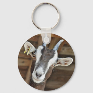 Cute Brown and White Goat Photo Key Ring