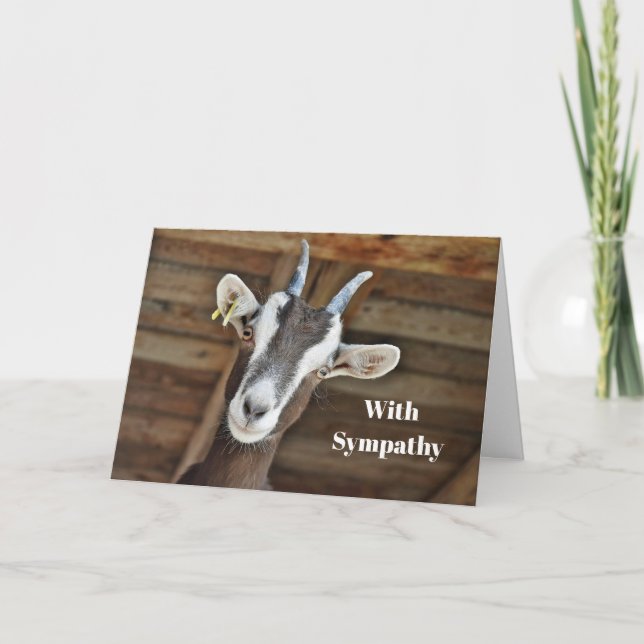 Cute Brown and White Goat Photo Sympathy Card (Front)