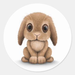 Cute Brown Baby Bunny Rabbit on White Classic Round Sticker