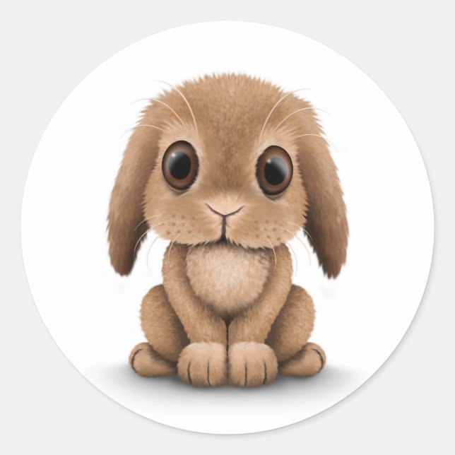 Cute Brown Baby Bunny Rabbit on White Classic Round Sticker (Front)