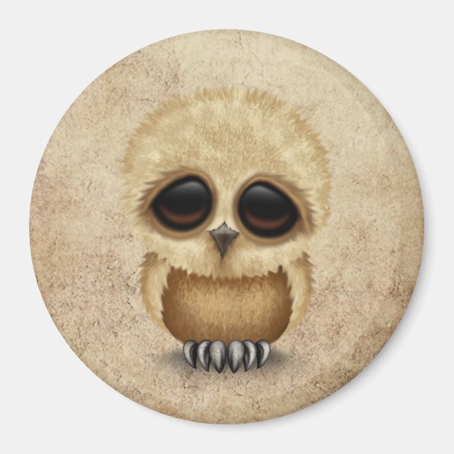 Cute Brown Baby Owl Chic on Aged Texture Magnet (Front)
