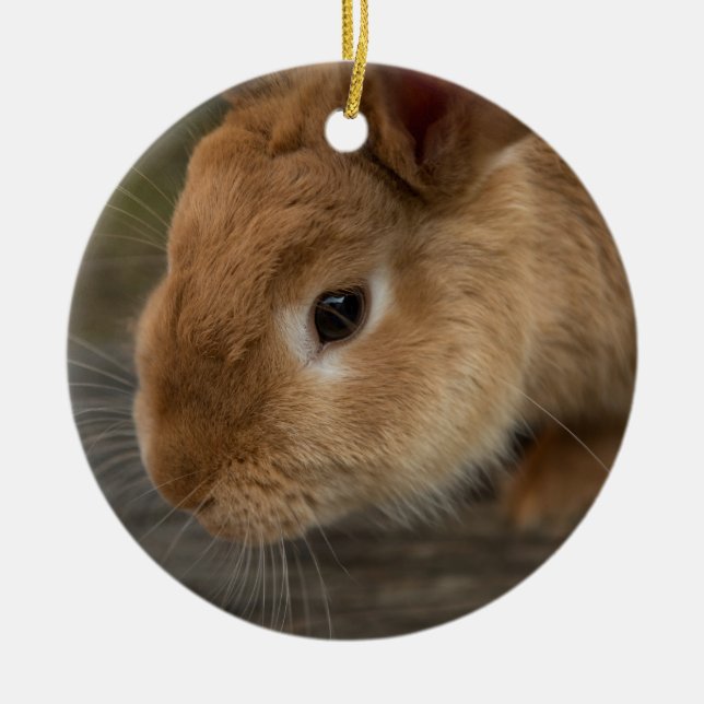 Cute brown bunny ceramic tree decoration (Front)