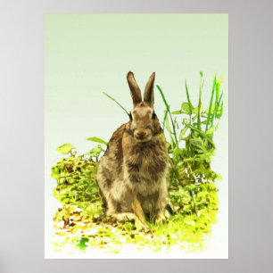 Cute Brown Bunny Rabbit in Green Grass Poster