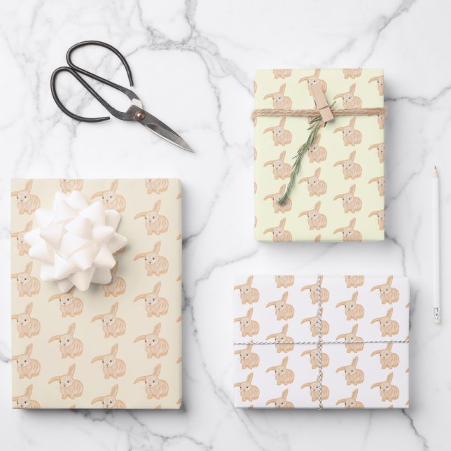 Cute Brown Bunny Rabbit - transparent patterns.   Wrapping Paper Sheet (Front)