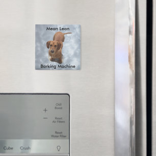 Cute Brown Dachshund Barking Machine Magnet