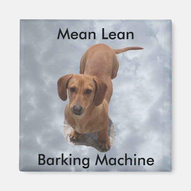 Cute Brown Dachshund Barking Machine Magnet (Front)