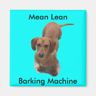 Cute Brown Dachshund Barking Machine Magnet