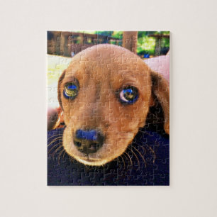 Cute Brown Dachshund Puppy Dog Jigsaw Puzzle