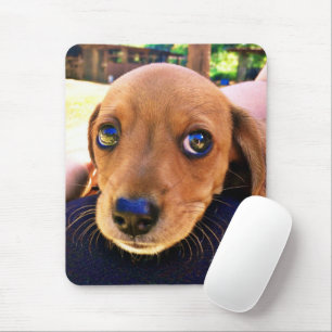 Cute Brown Dachshund Puppy Dog Mouse Mat