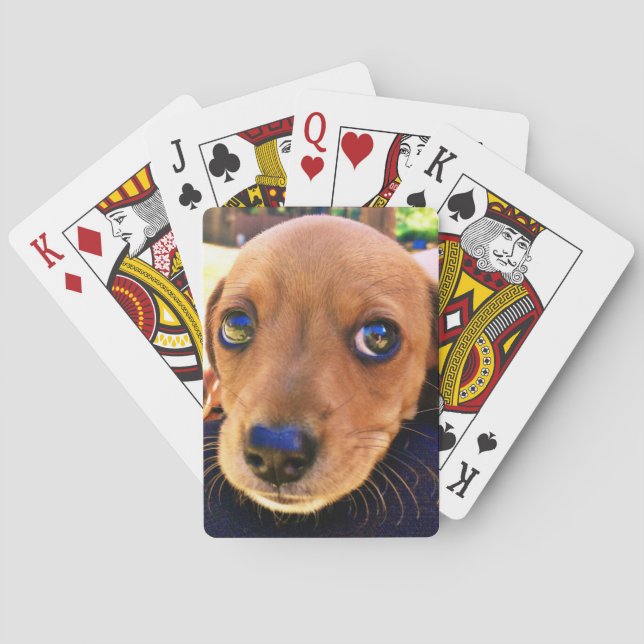 Cute Brown Dachshund Puppy Dog Playing Cards (Back)