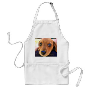 Cute Brown Dachshund Puppy Dog Standard Apron