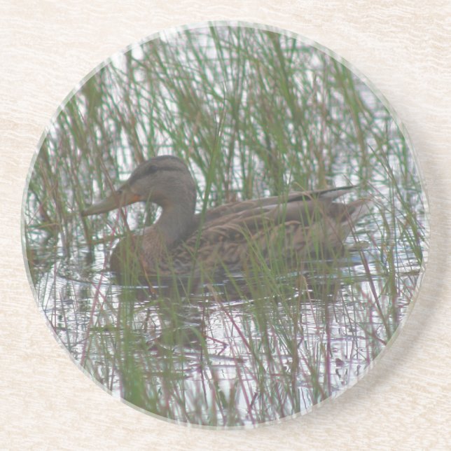 Cute Brown Duck Nature Drink Coaster (Front)