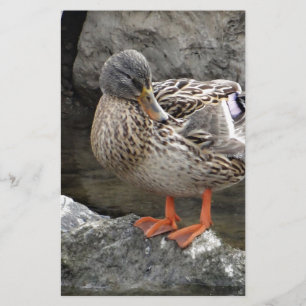 Cute brown duck stationery