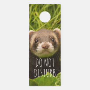 Cute Brown Ferret in the Grass Do Not Disturb Door Hanger