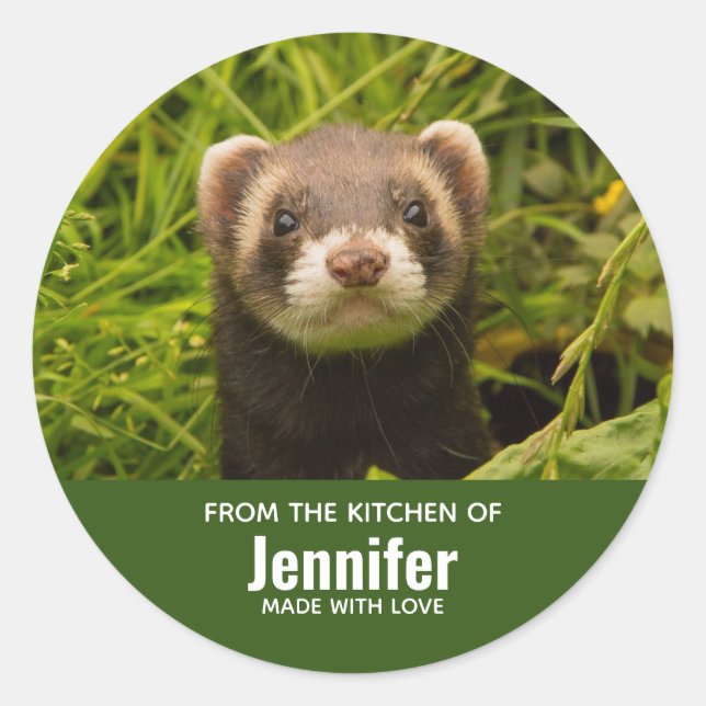 Cute Brown Ferret in the Grass Kitchen Classic Round Sticker (Front)