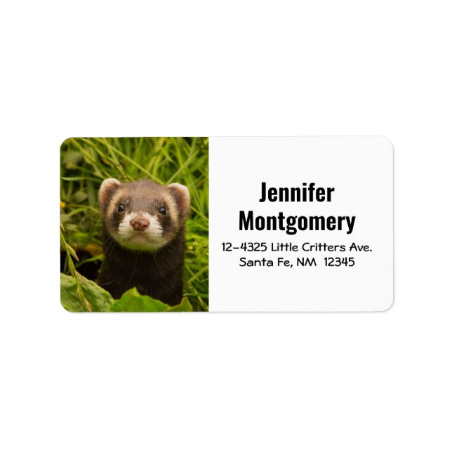 Cute Brown Ferret in the Grass Label (Front)