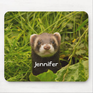 Cute Brown Ferret in the Grass Mouse Mat