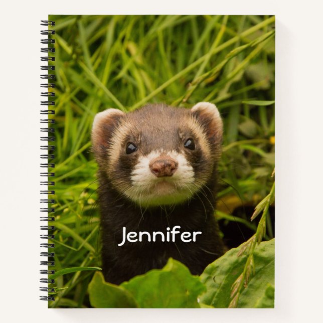 Cute Brown Ferret in the Grass Notebook (Front)