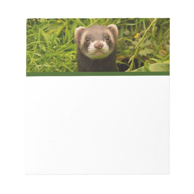 Cute Brown Ferret in the Grass Notepad (Front)